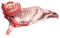 Frozen beef forequarter - halal