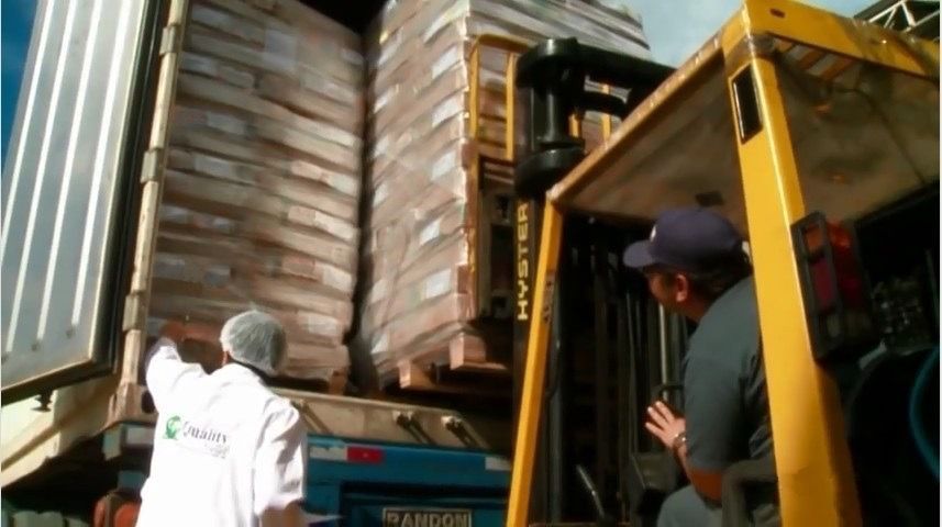 Halal Grade A Frozen Chicken Paws fit for human consumption